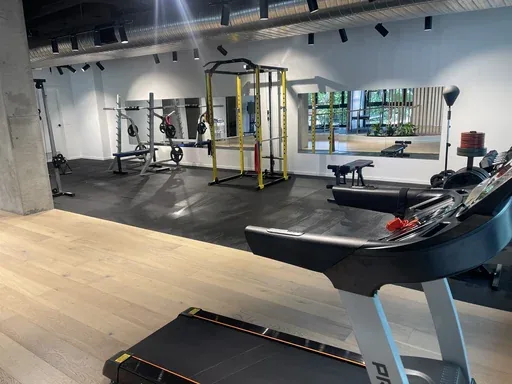The rehabilitation gym of an Align Health Collective clinic, with a squat rack, benches, dumbbells and a treadmill.